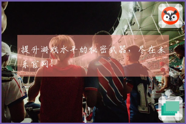 提升游戏水平的秘密武器，尽在米乐官网！