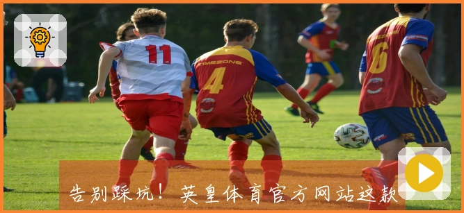 告别踩坑！英皇体育官方网站这款宝藏应用，新手必知的避雷绝招与高效上手指南